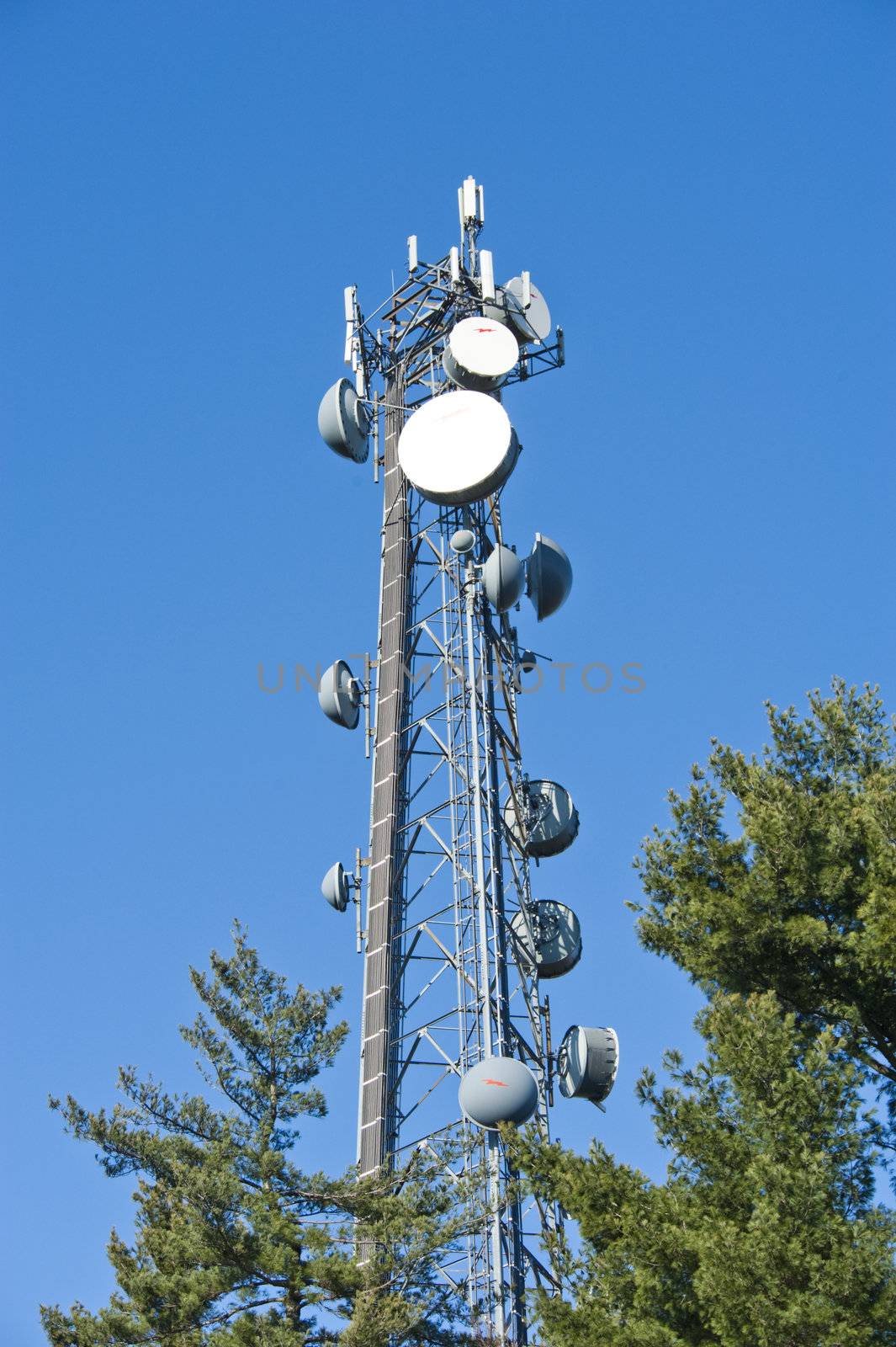 Cell tower and radio antenna in trees against a blue sky