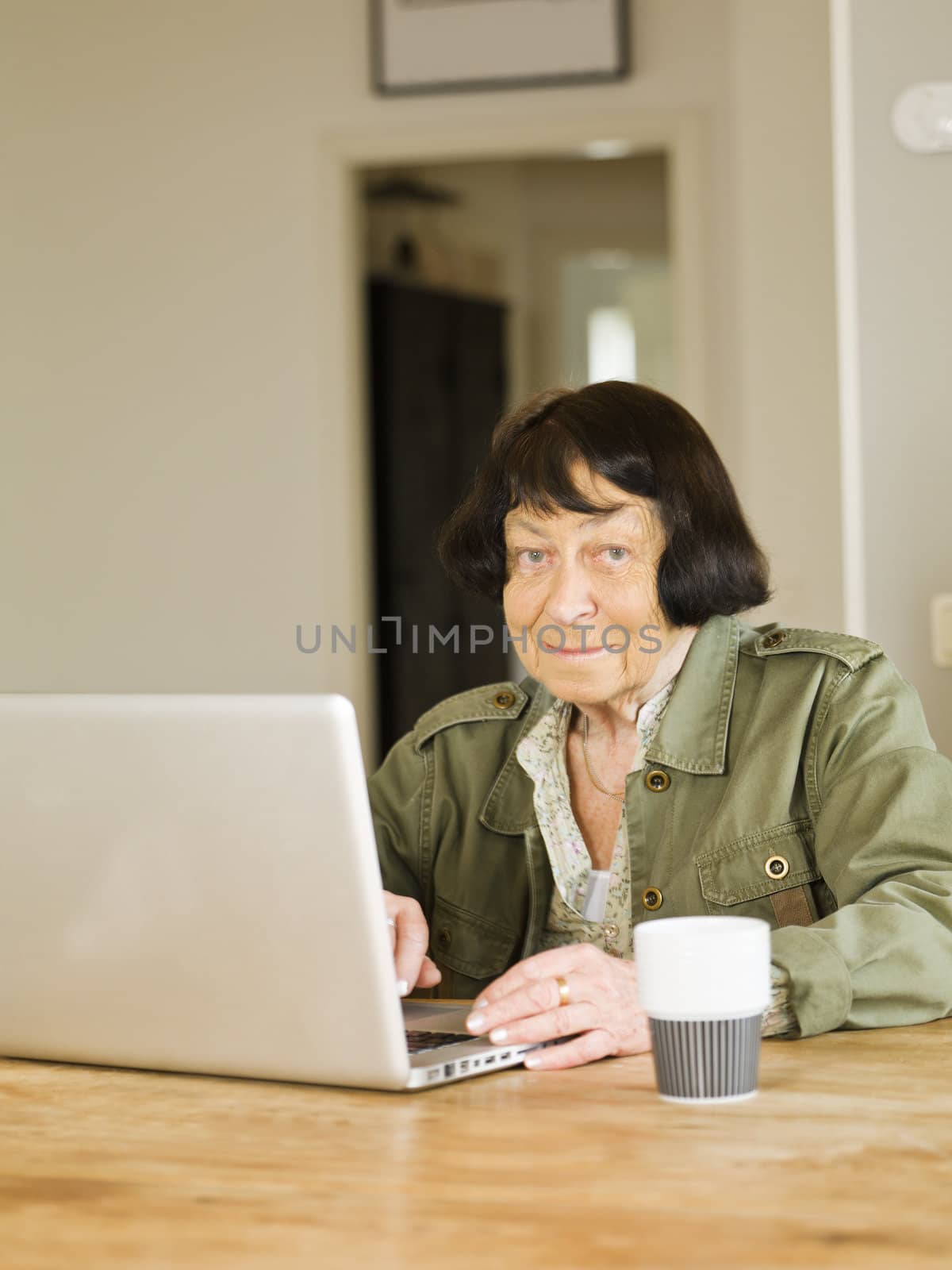 Senior woman by the computer