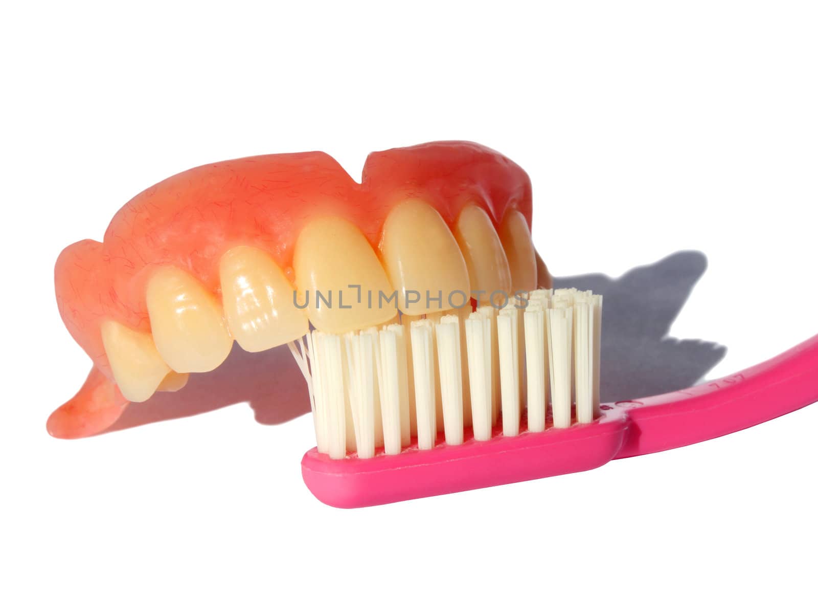 A complete upper false teeth top on a pink toothbrush.