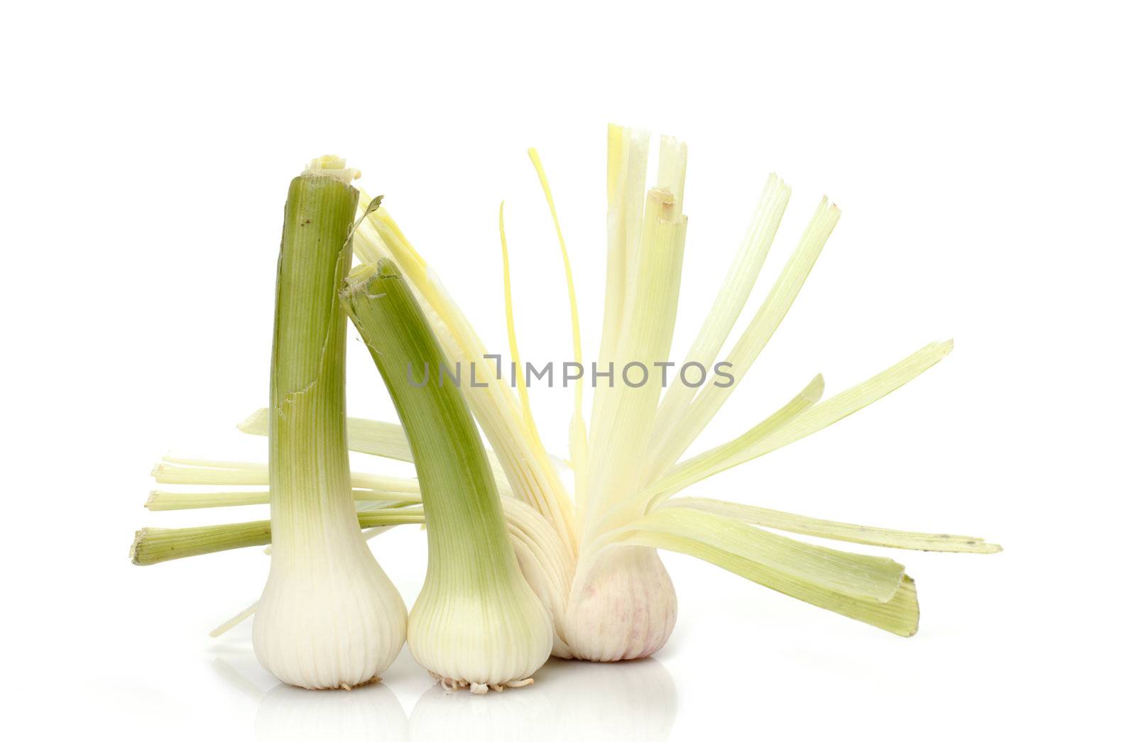 closeup of a pile of garlic shoots on white background