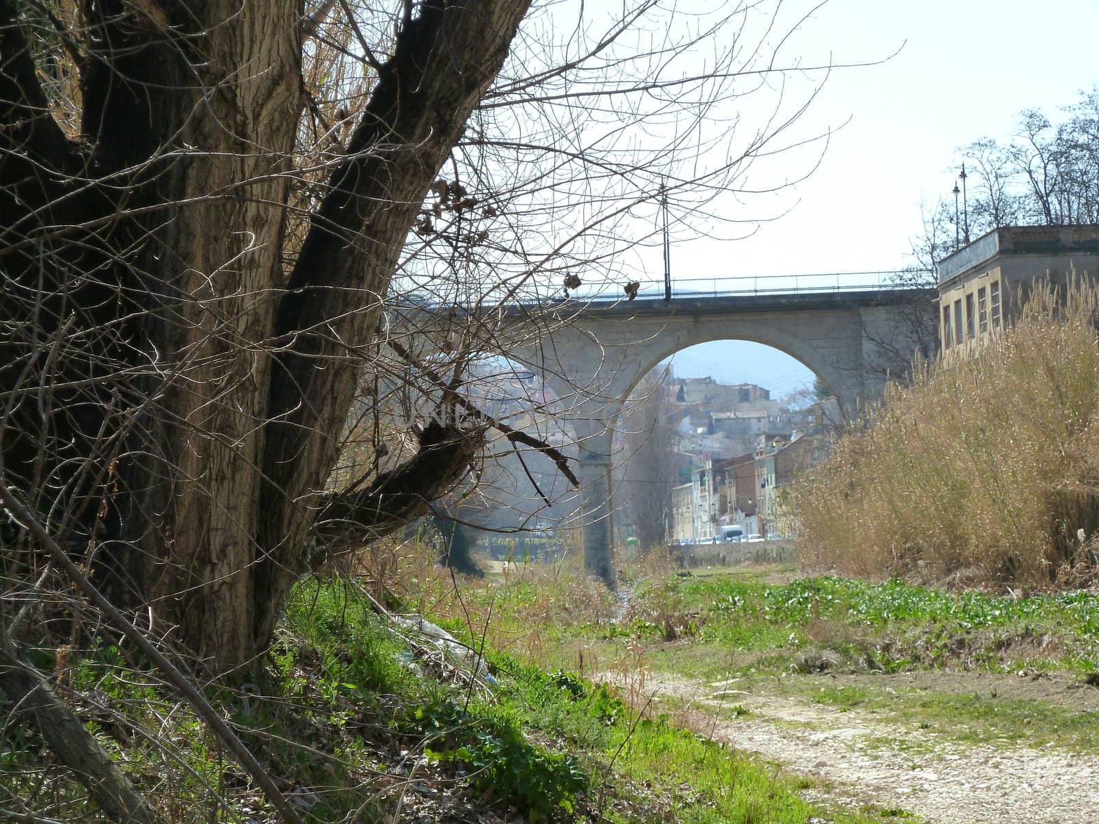view of bridge with trees and growth