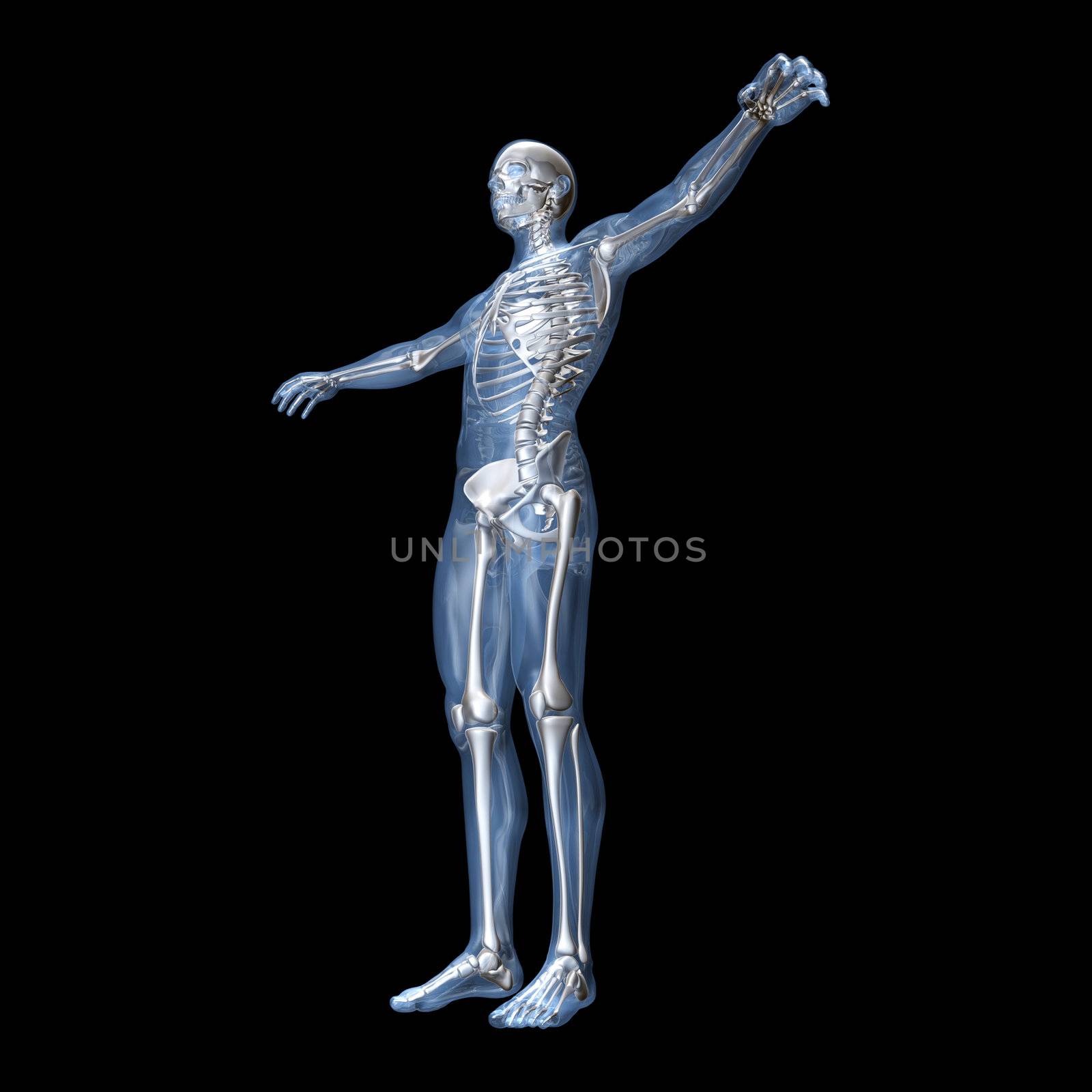 Anatomy Visualization by Spectral