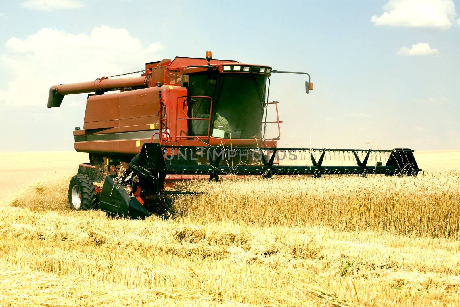 harvester in the field of gold wheat against the blue sky