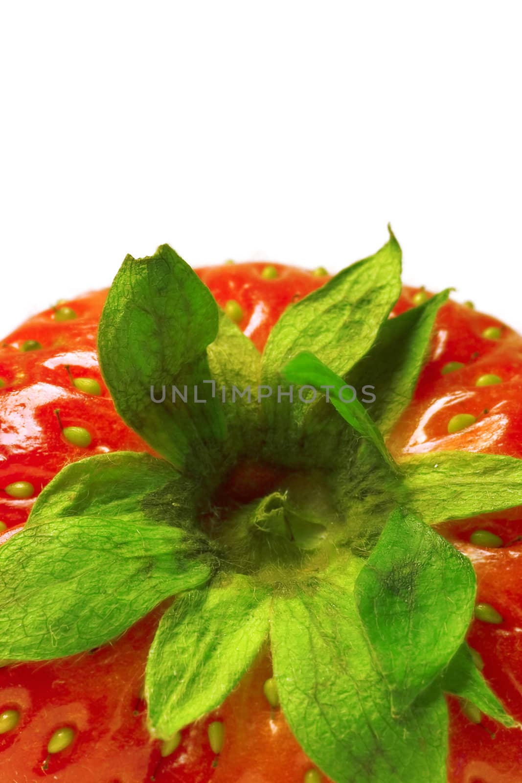 brightly red strawberry on a white background