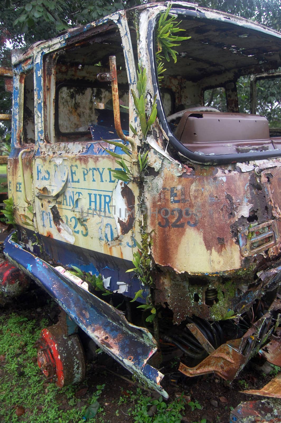 Abandoned truck at the village in Papua New Guinea