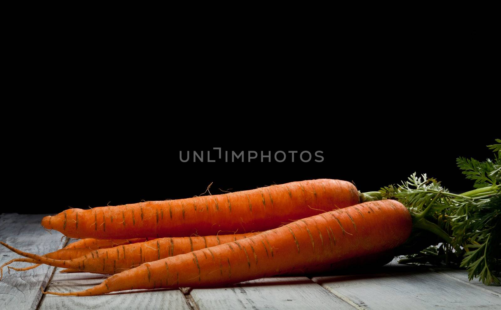 carrots by maxg71
