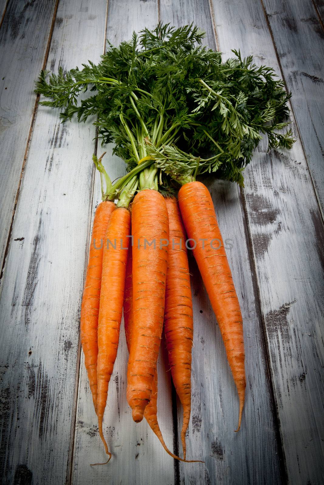 carrots by maxg71