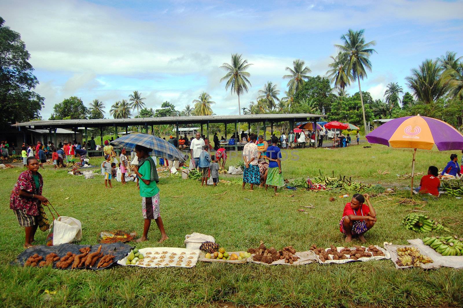 Market in Papua New Guinea by danemo