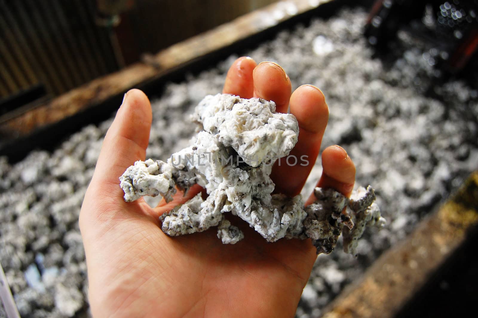 Piece of rubber in the hand, rubber factory, Mareguina, Papua New Guinea