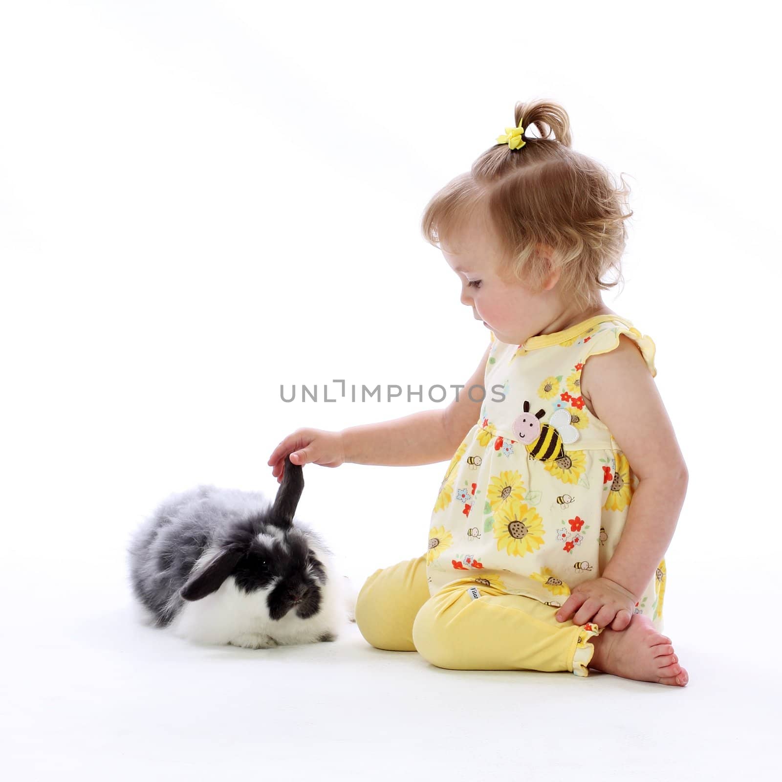 A young girl plays with a bunny rabbits ear showing curiosity and wonder on a white background