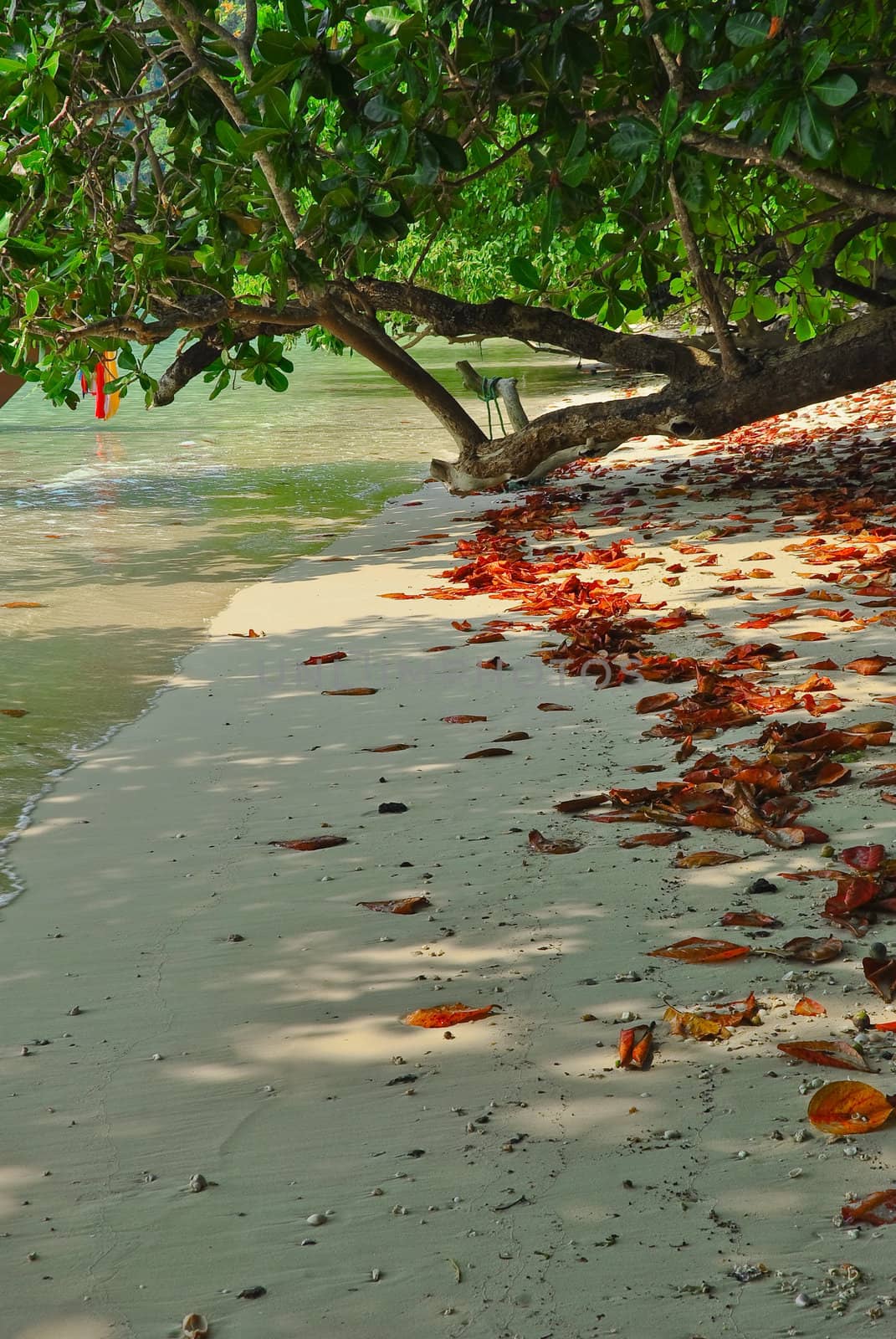 Surin island national park in Thailand