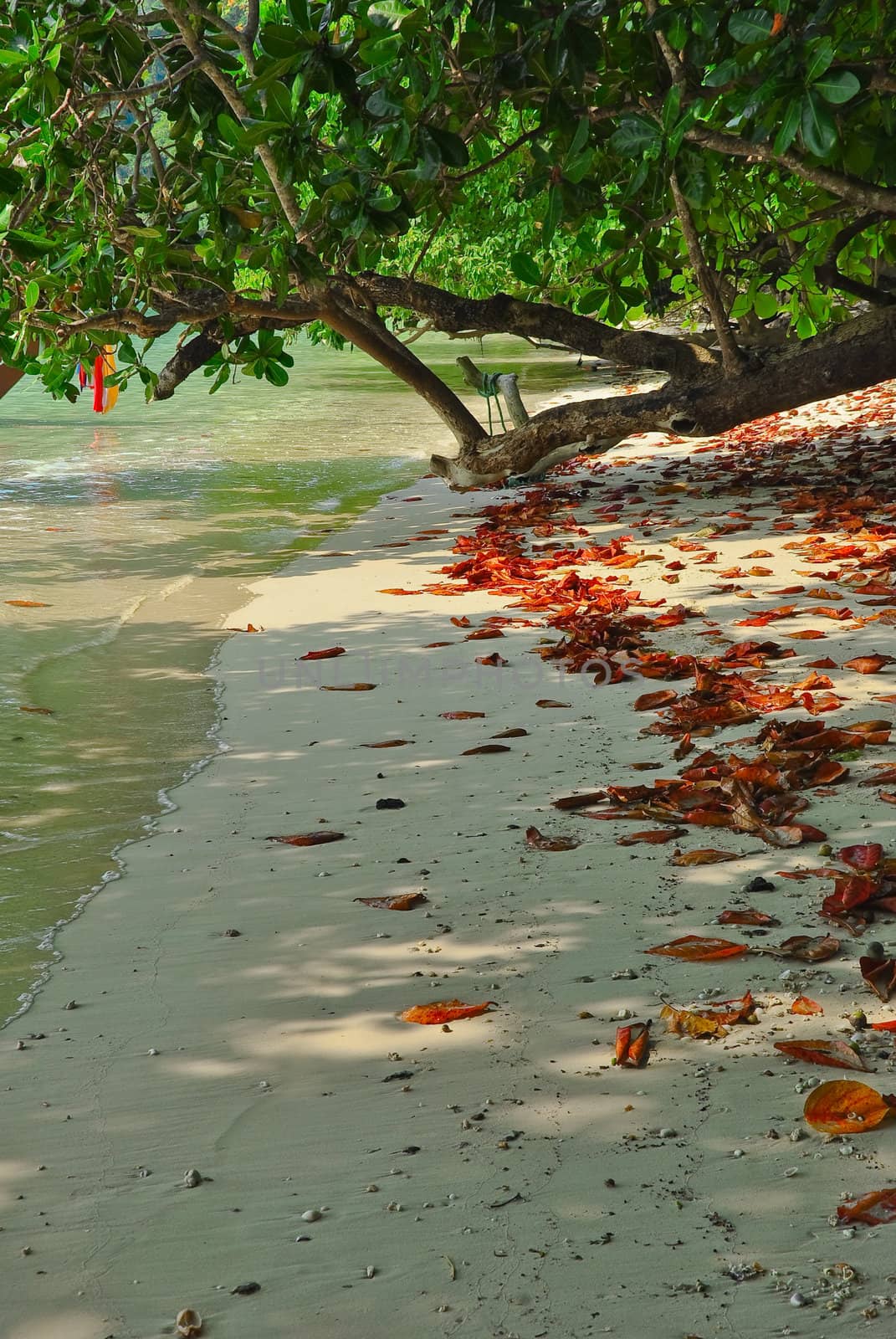 Surin island national park by hinnamsaisuy