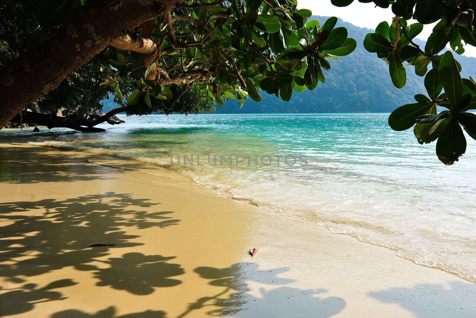 Surin island national park in Thailand