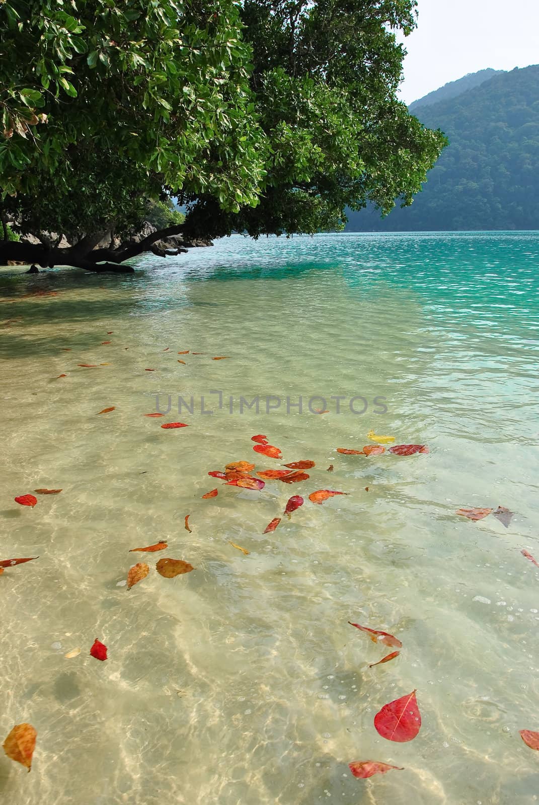 Surin island national park by hinnamsaisuy