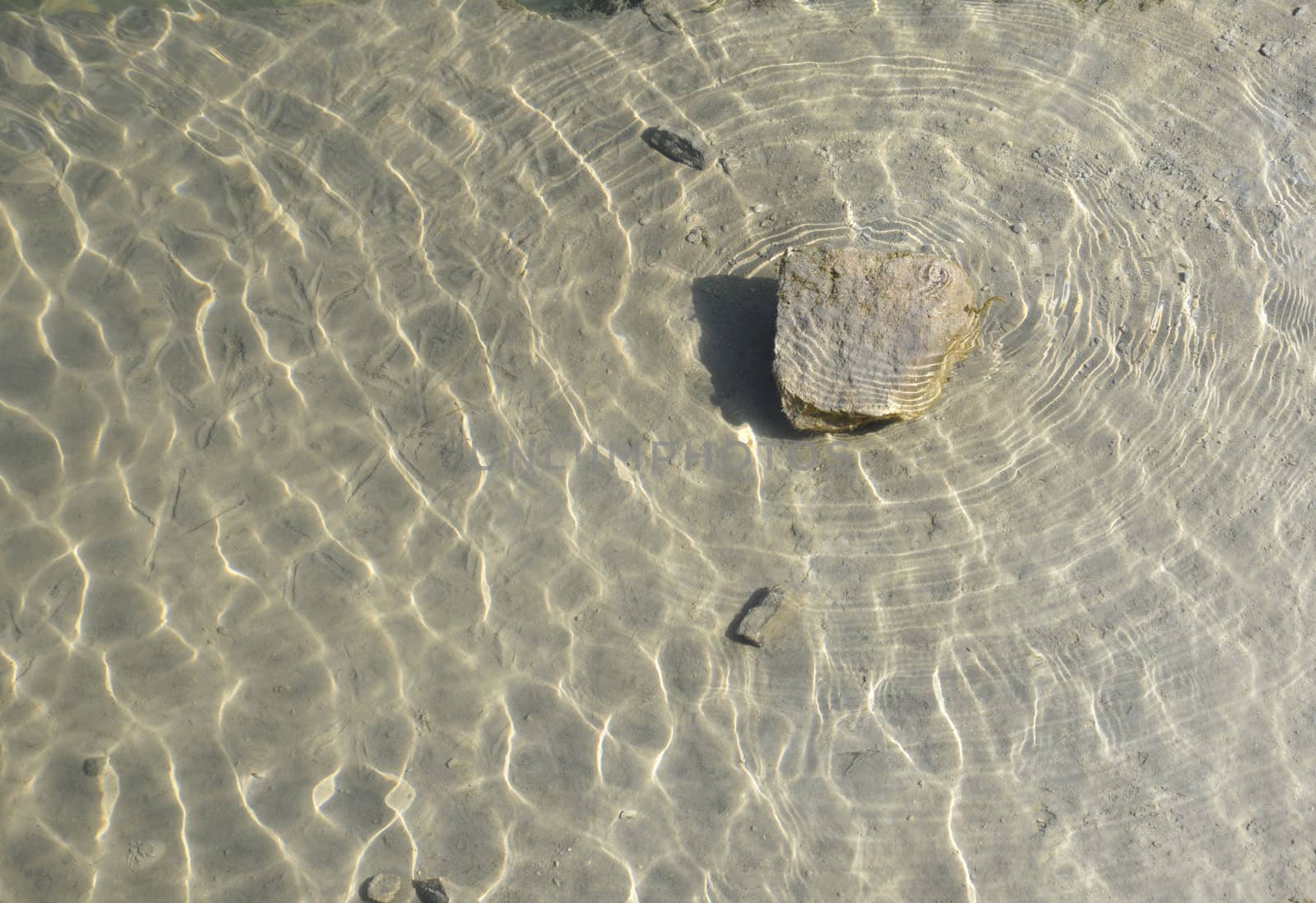 One stone just under the water surface with many riddles