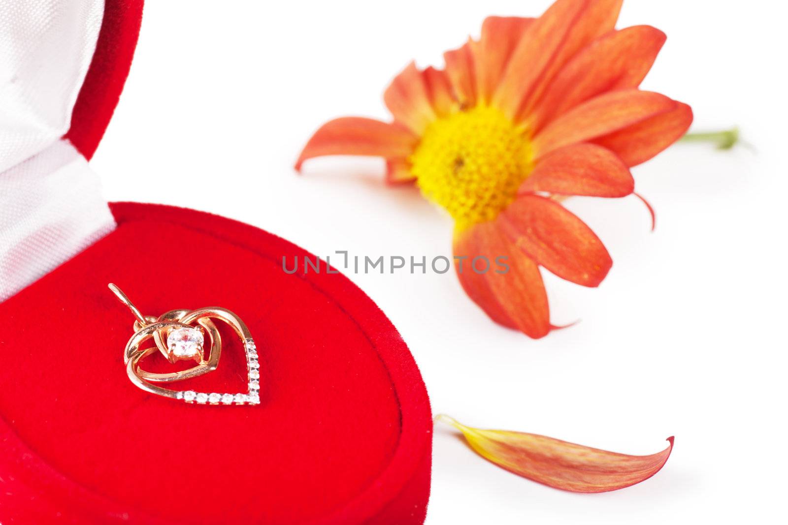 Golden pendant in a red box and chrysanthemum without one petal