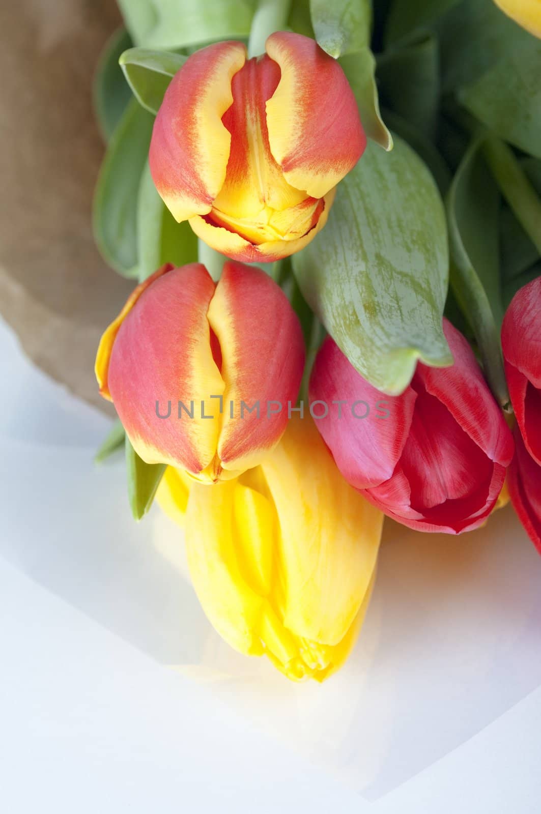 Close up of a bouquet of yellow and pink tulips, wrapped in brown paper and cellophane on a white background.