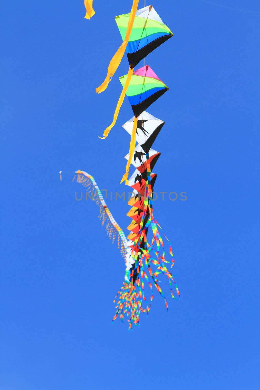 CHA-AM - MARCH 10: Colorful kites in the 12th Thailand International Kite Festival on March 9, 2012 in Naresuan Camp, Cha-am, Thailand