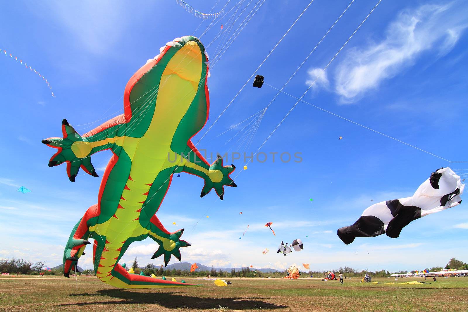 CHA-AM - MARCH 10: Colorful kites in the 12th Thailand International Kite Festival on March 9, 2012 in Naresuan Camp, Cha-am, Thailand