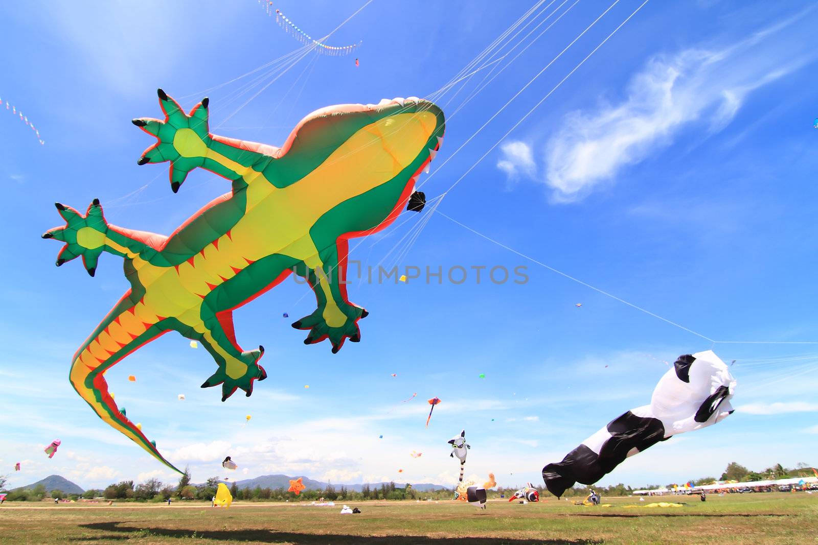 CHA-AM - MARCH 10: Colorful kites in the 12th Thailand International Kite Festival on March 9, 2012 in Naresuan Camp, Cha-am, Thailand