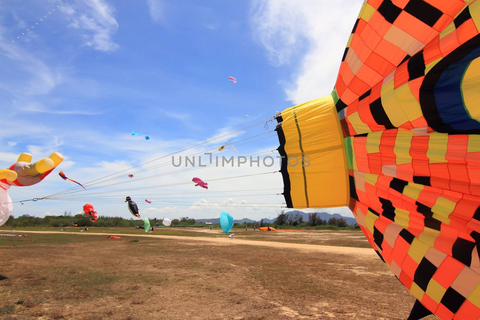 CHA-AM - MARCH 10: Colorful kites in the 12th Thailand International Kite Festival on March 9, 2012 in Naresuan Camp, Cha-am, Thailand