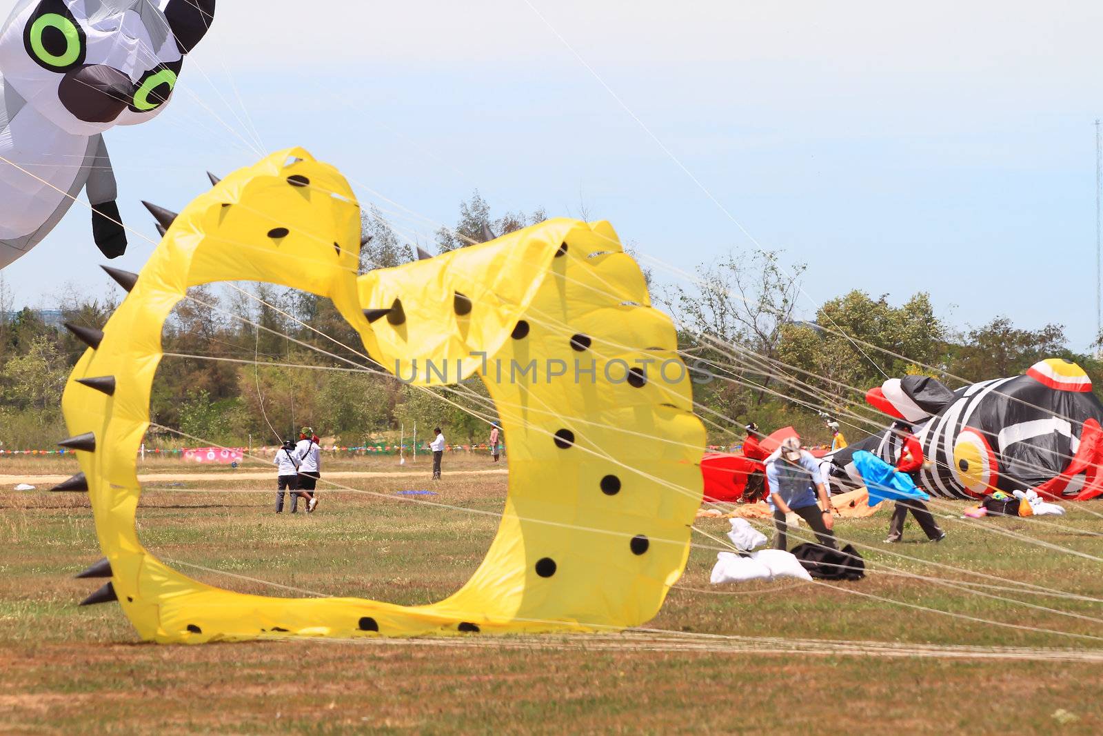 CHA-AM - MARCH 10: Colorful kites in the 12th Thailand International Kite Festival on March 9, 2012 in Naresuan Camp, Cha-am, Thailand