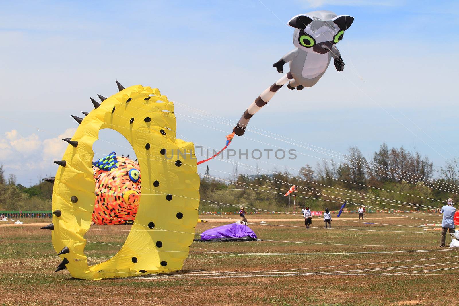 CHA-AM - MARCH 10: Colorful kites in the 12th Thailand International Kite Festival on March 9, 2012 in Naresuan Camp, Cha-am, Thailand