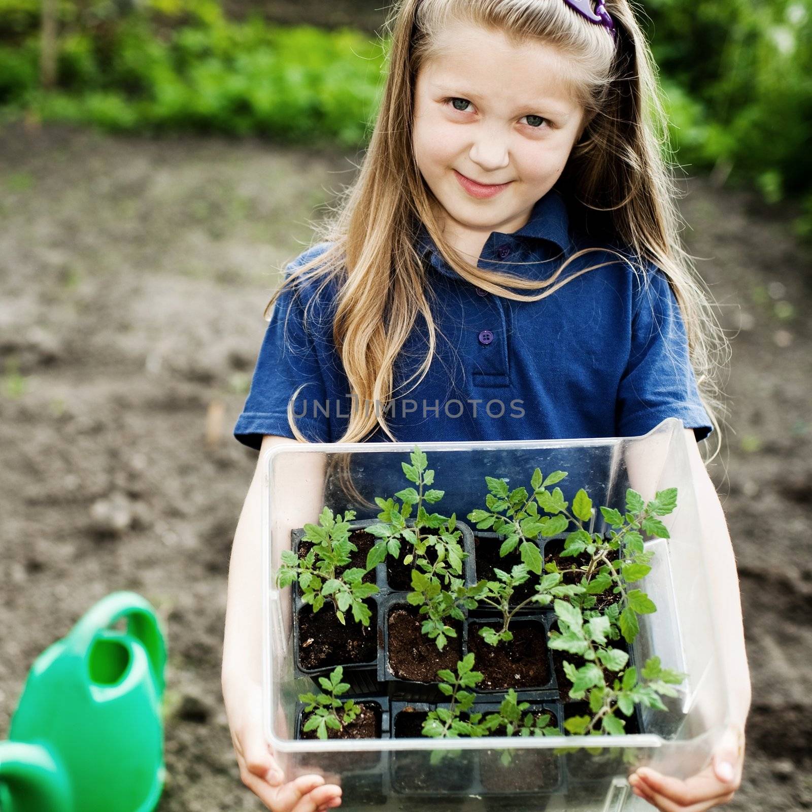 An image of a nice little girl with seedlings