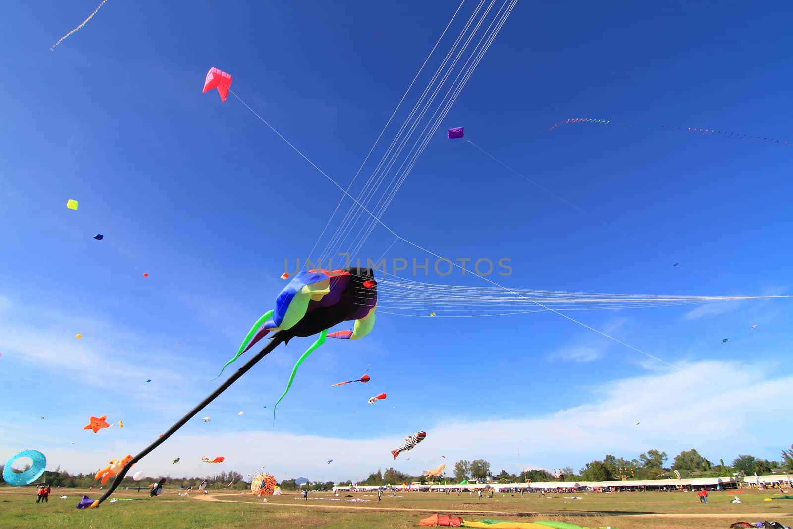 CHA-AM - MARCH 10: Colorful kites in the 12th Thailand International Kite Festival on March 9, 2012 in Naresuan Camp, Cha-am, Thailand