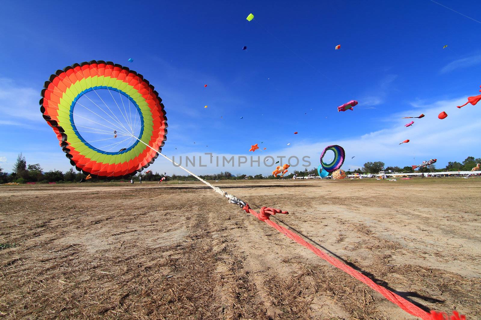 CHA-AM - MARCH 10: Colorful kites in the 12th Thailand Internati by rufous