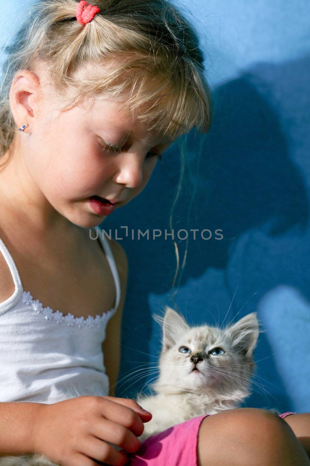 Friends. Nice girl with a kitten in her arms