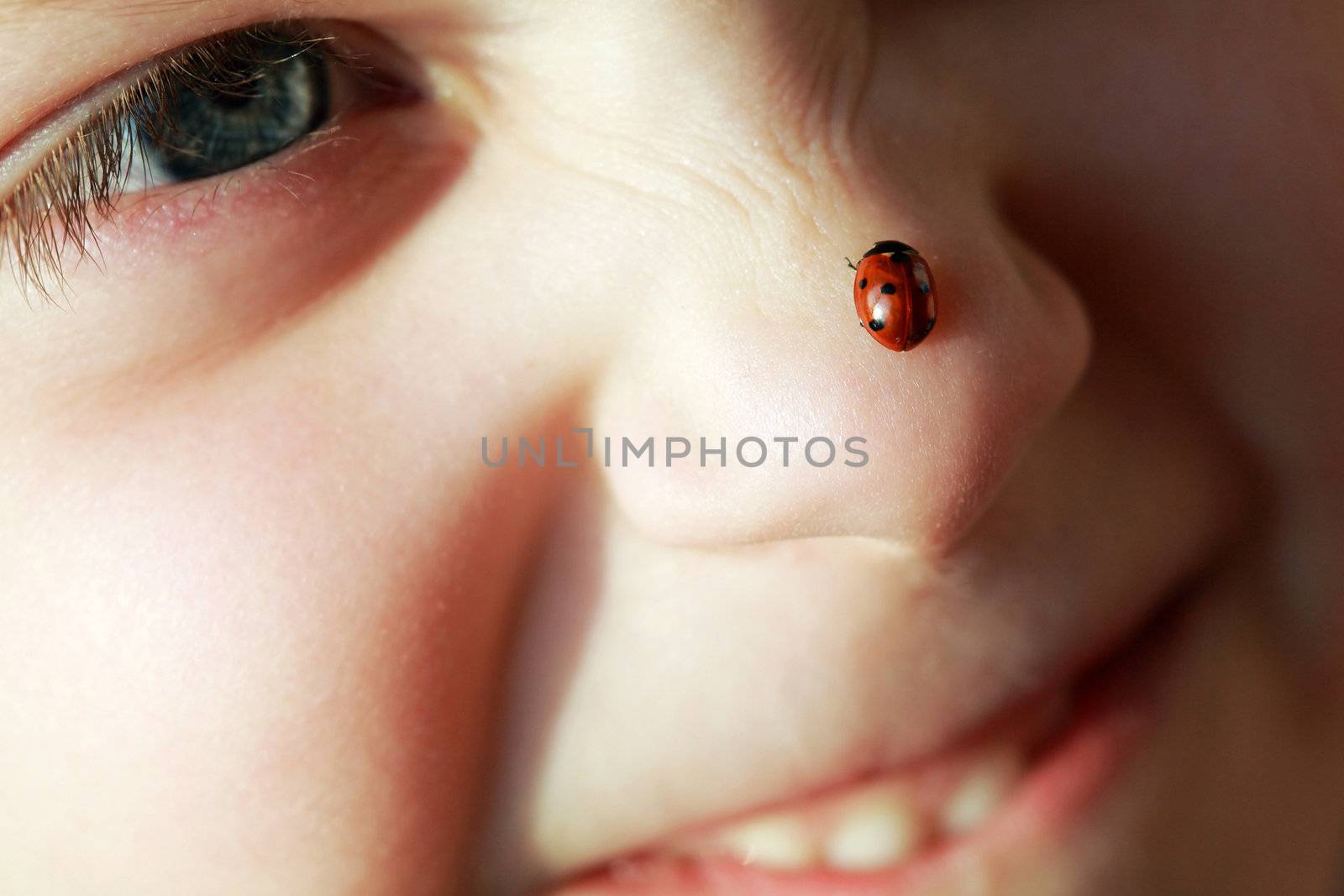 Nature theme: an image of a ladybird on girl's nose