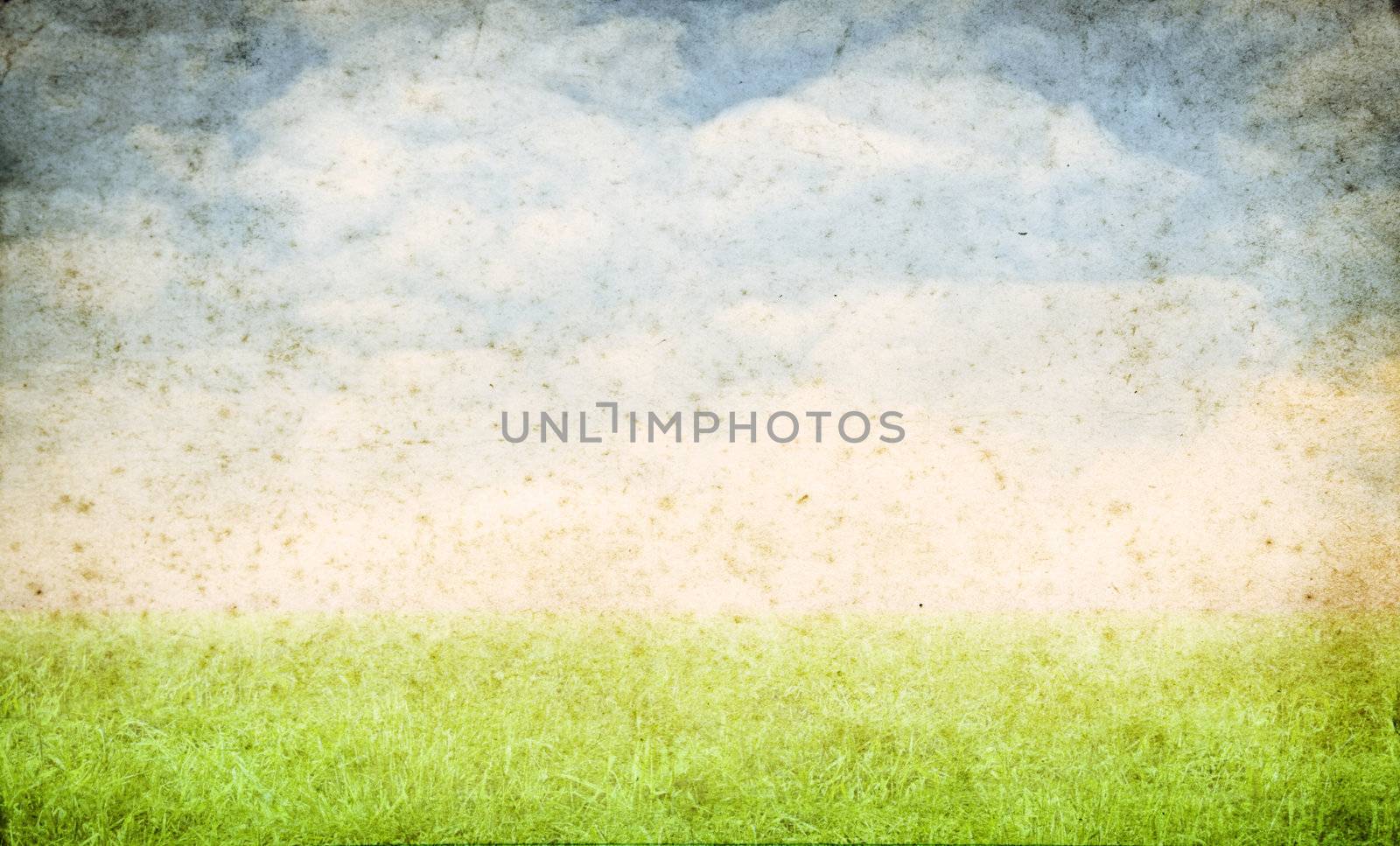 grunge spring background with space for text