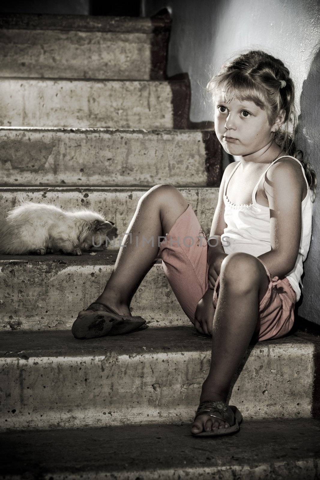 Little girl and kitten is sitting on stairs