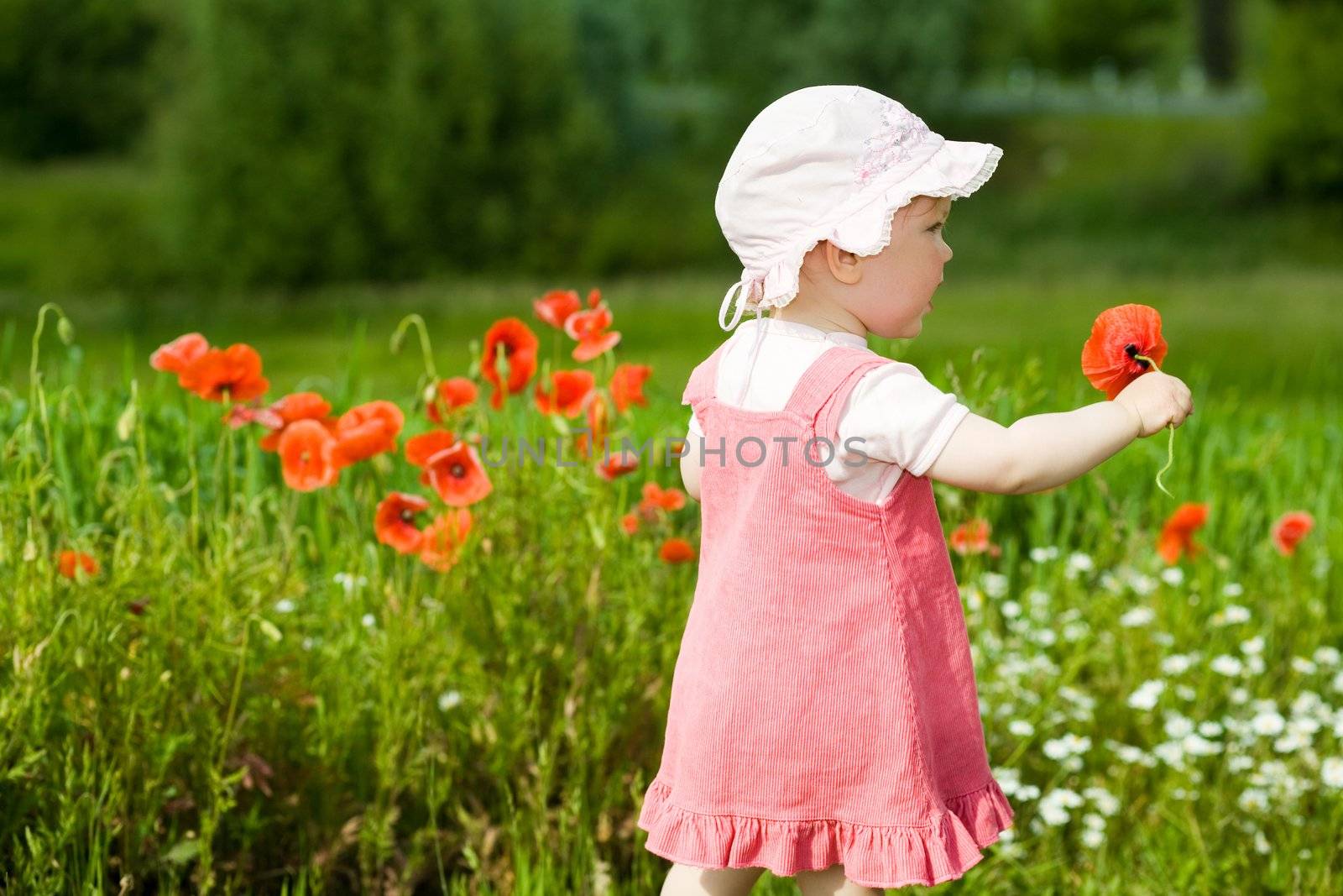 An image of baby-girl amongst field with poppies