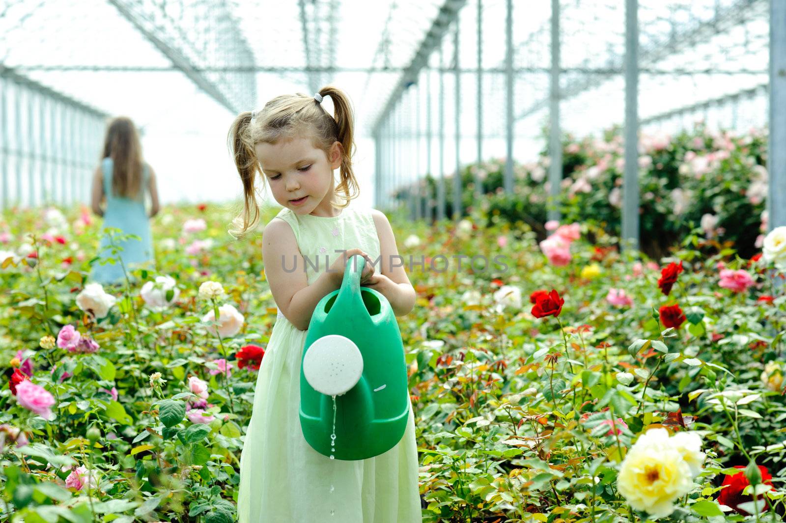 An image of a little girl watering flowers