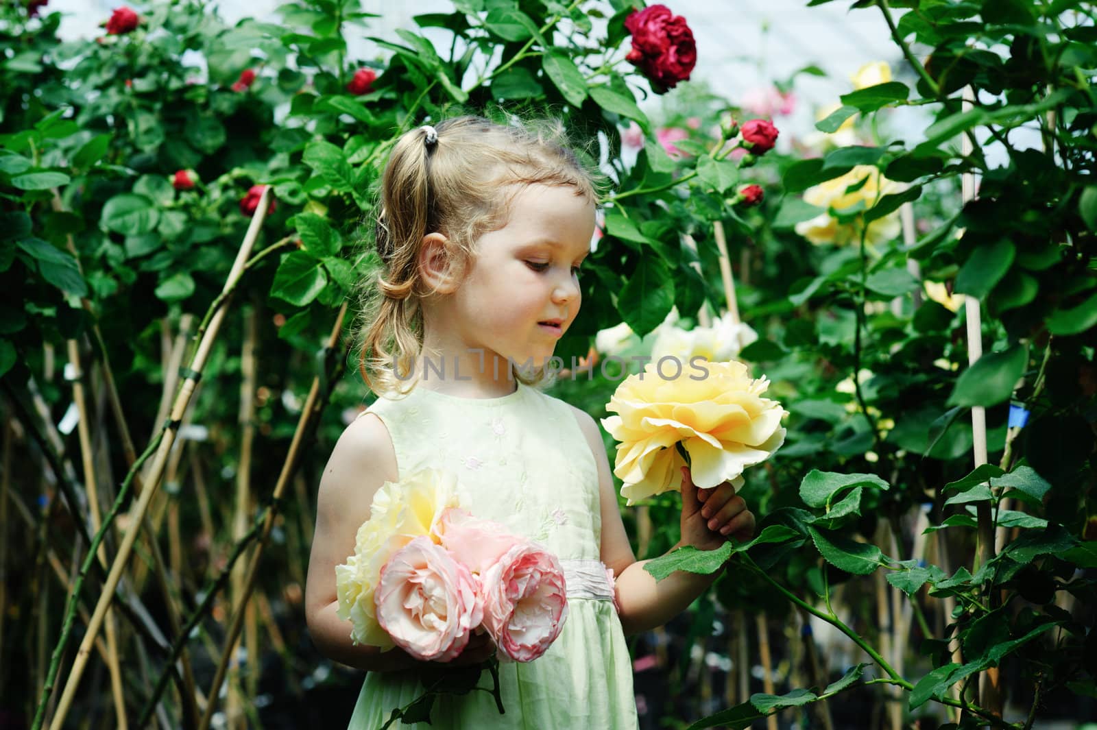 An image of a little girl in a greenhouse