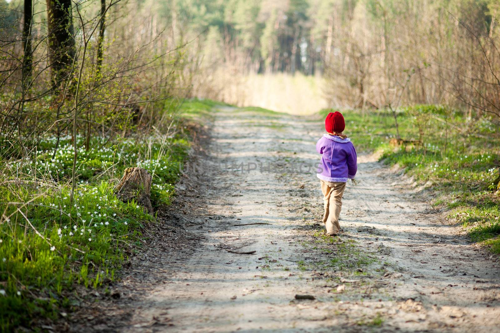 An image of a little girl walking in the forest
