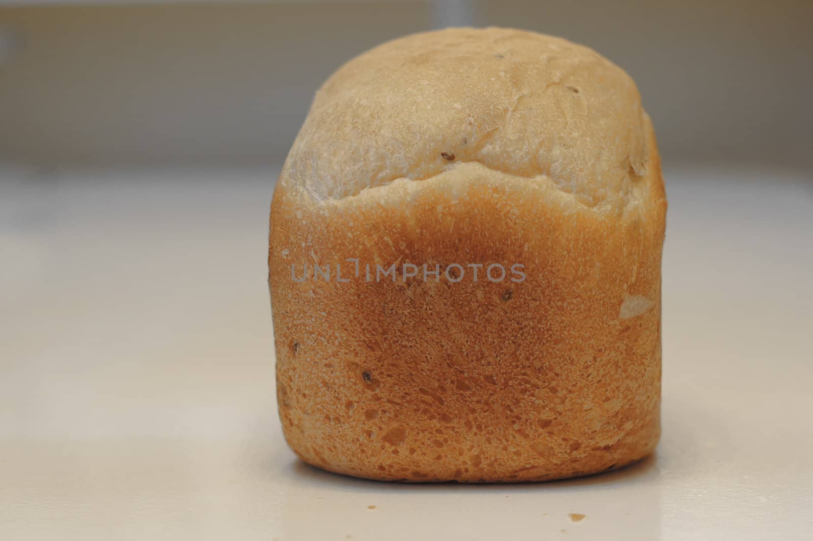 Loaf of freshly baked white bread