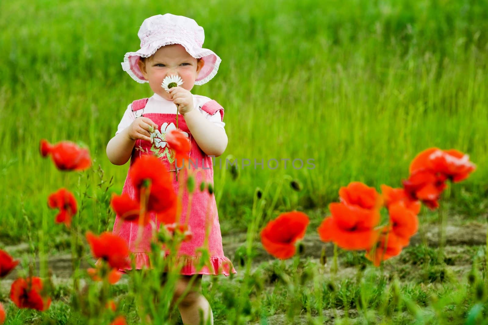Child with red flower by velkol