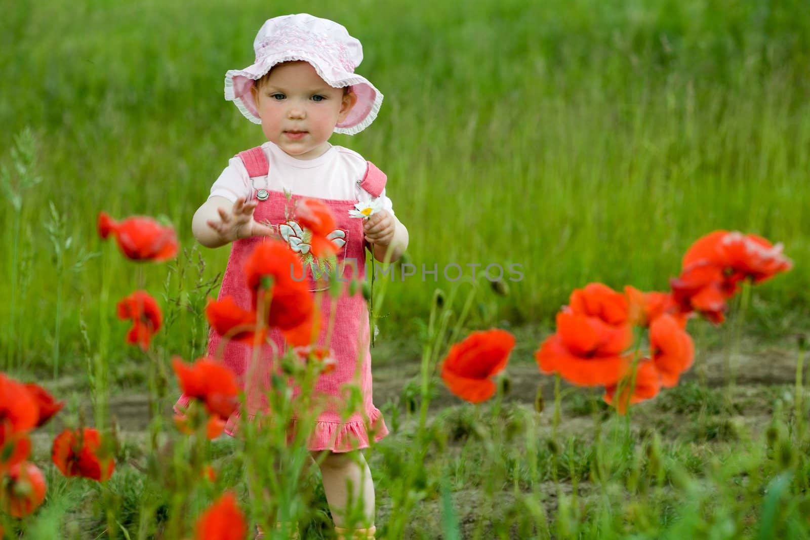 An image of baby-girl amongst field with poppies