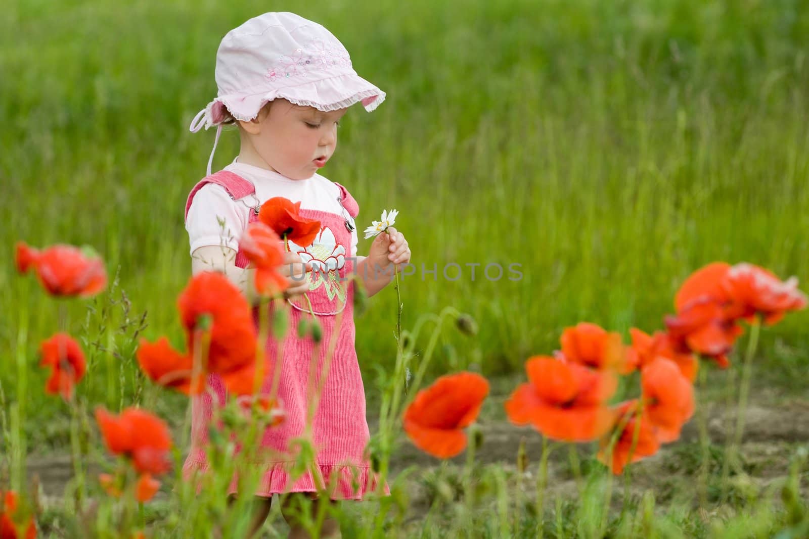 An image of nice baby-girl amongst green field with red poppies