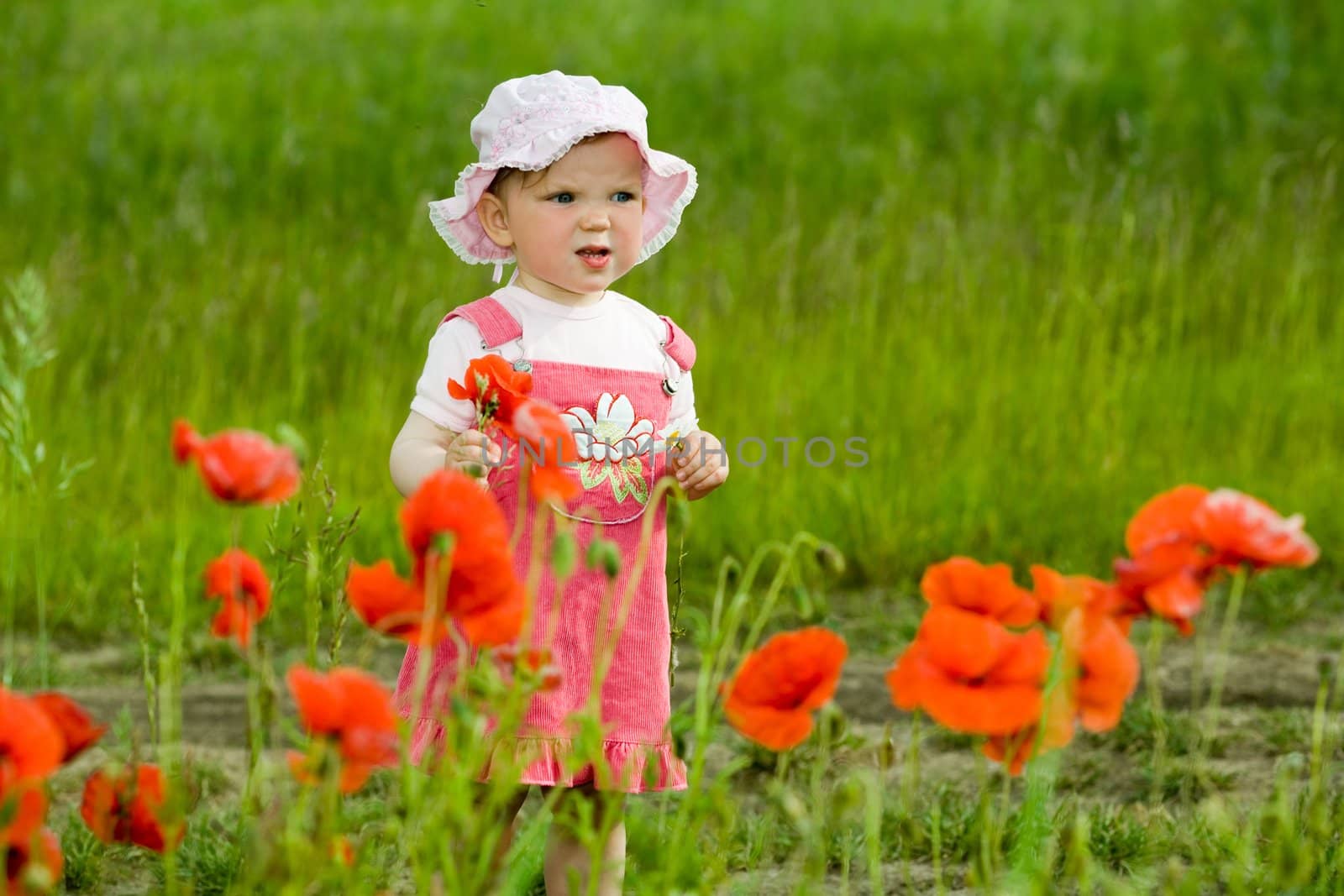 An image of baby amongst field with flowers