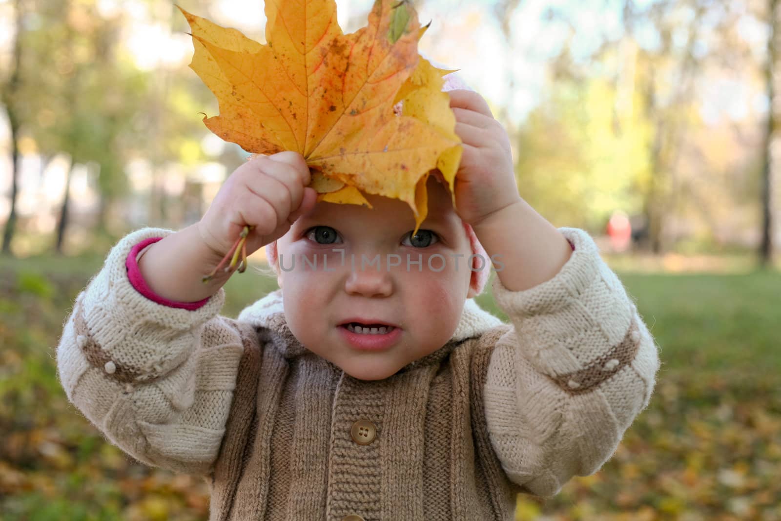 An image of baby in autumn park
