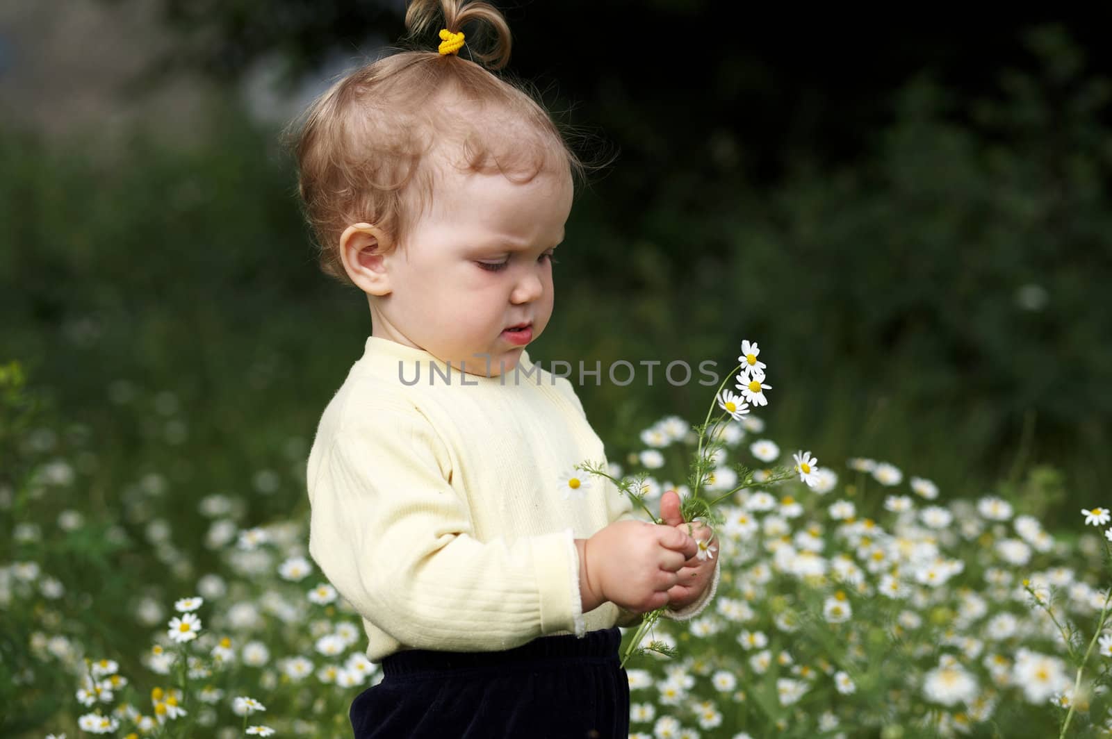 Baby girl amongst a field with flowers