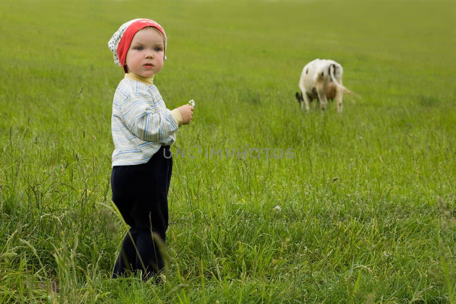 An image of a baby in the field