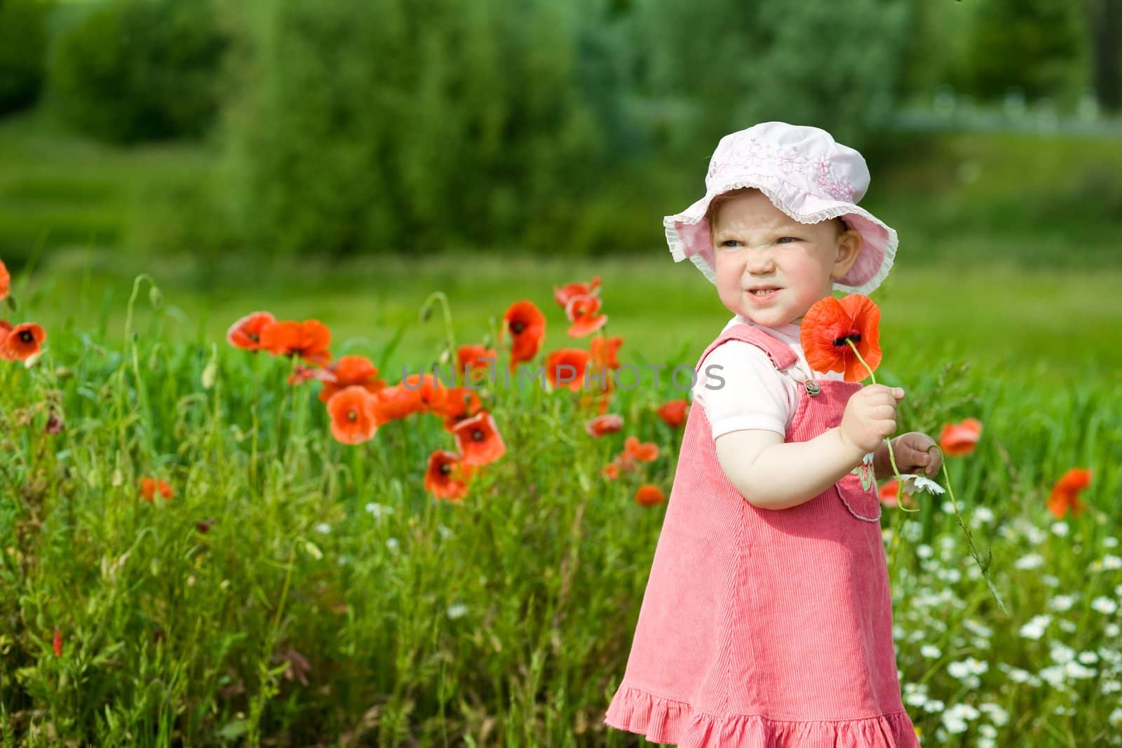 Baby with red flower by velkol