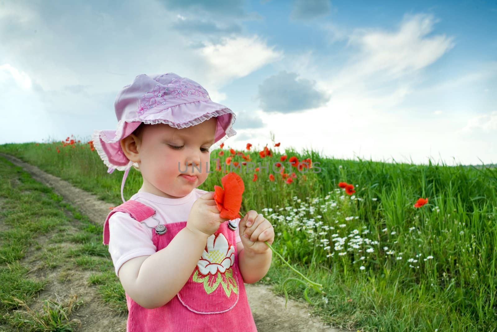 Nice baby-girl with red poppy on the lane amongst green field