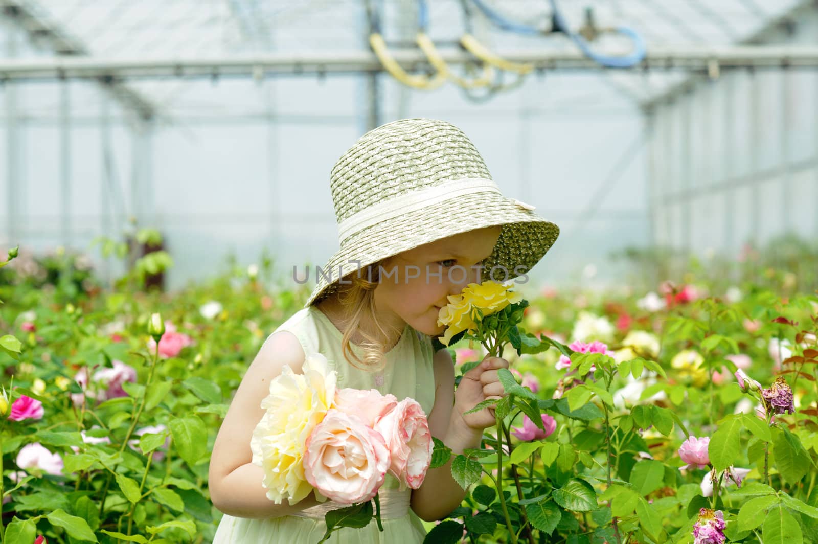 An image of a girl in a greenhouse