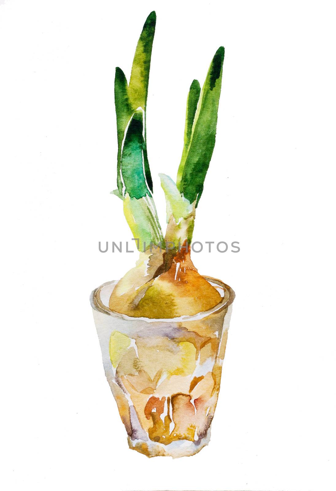 green onion in a glass watercolor